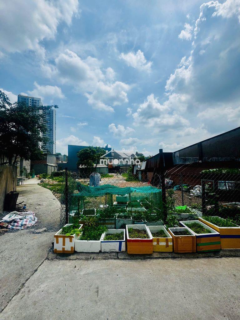 Kẹt tiền bán gấp đất 440m2 đông hòa dĩ an gần đhqg chỉ 10,7 tỷ