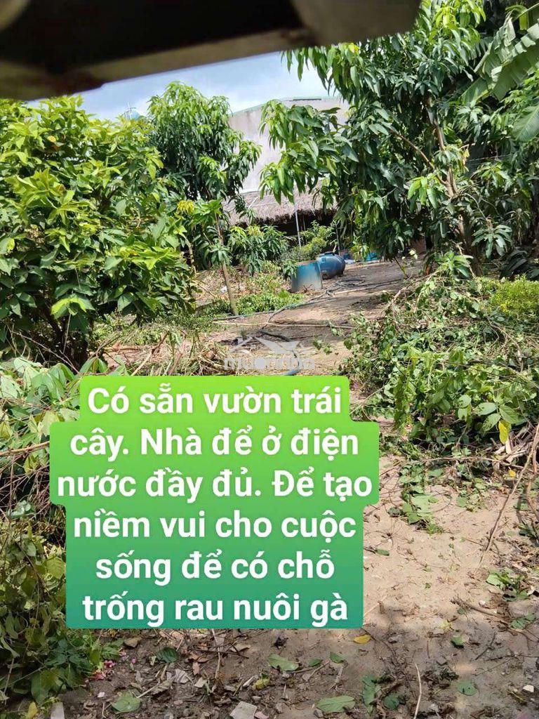 Nhà vườn 600m có nhà điện nước nhà nước  đường võ văn vân vĩnh lộc b 