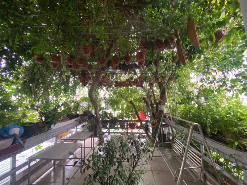 Bán nhà trung tâm gò vấp lê văn thọ p11 - 80m² (4x20) - 4 tầng đúc - 3