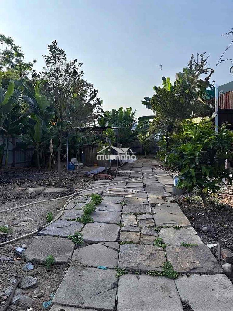 Chính chủ-5.9 tỷ tl 646m2- chợ bà điểm - 2