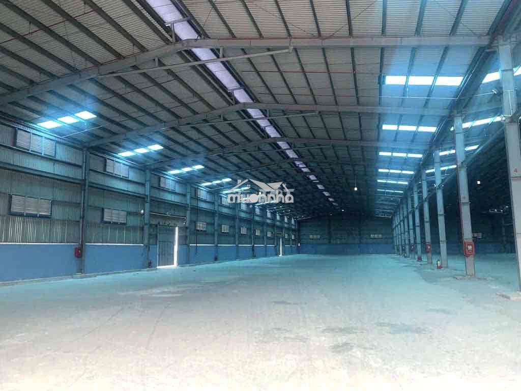 Kho xưởng mới tinh(5000m2)có cắt lẻ,pccc,cont40fix - 2