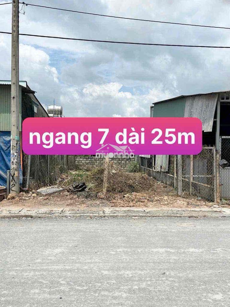 Bán mặt tiền hương lộ 15 - 3