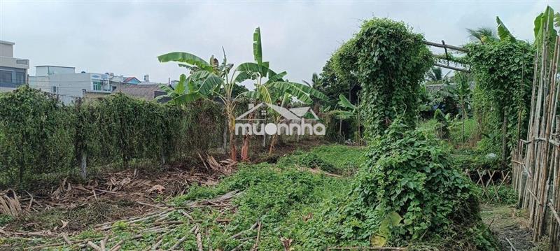 Đất đường xe hơi thông, gần trường tiểu học bình mỹ, 8,5x25m.
