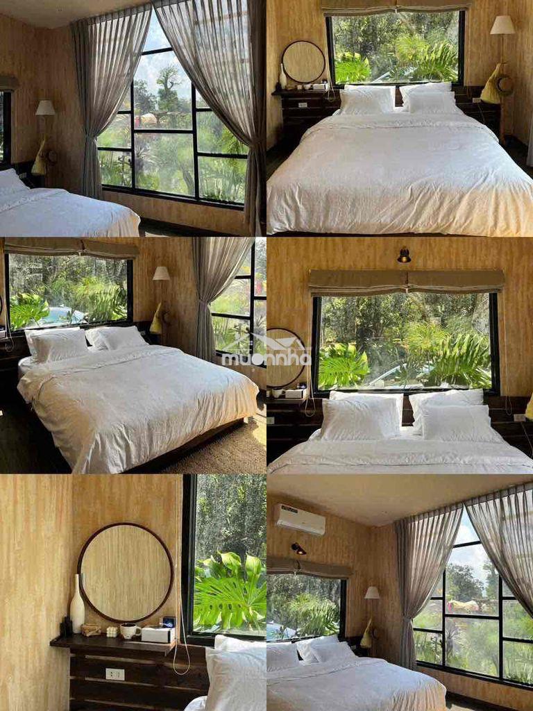 🌿 Cho thuê villa dài hạn – sống giữa khu vườn 10.000m² 🏡 - 3