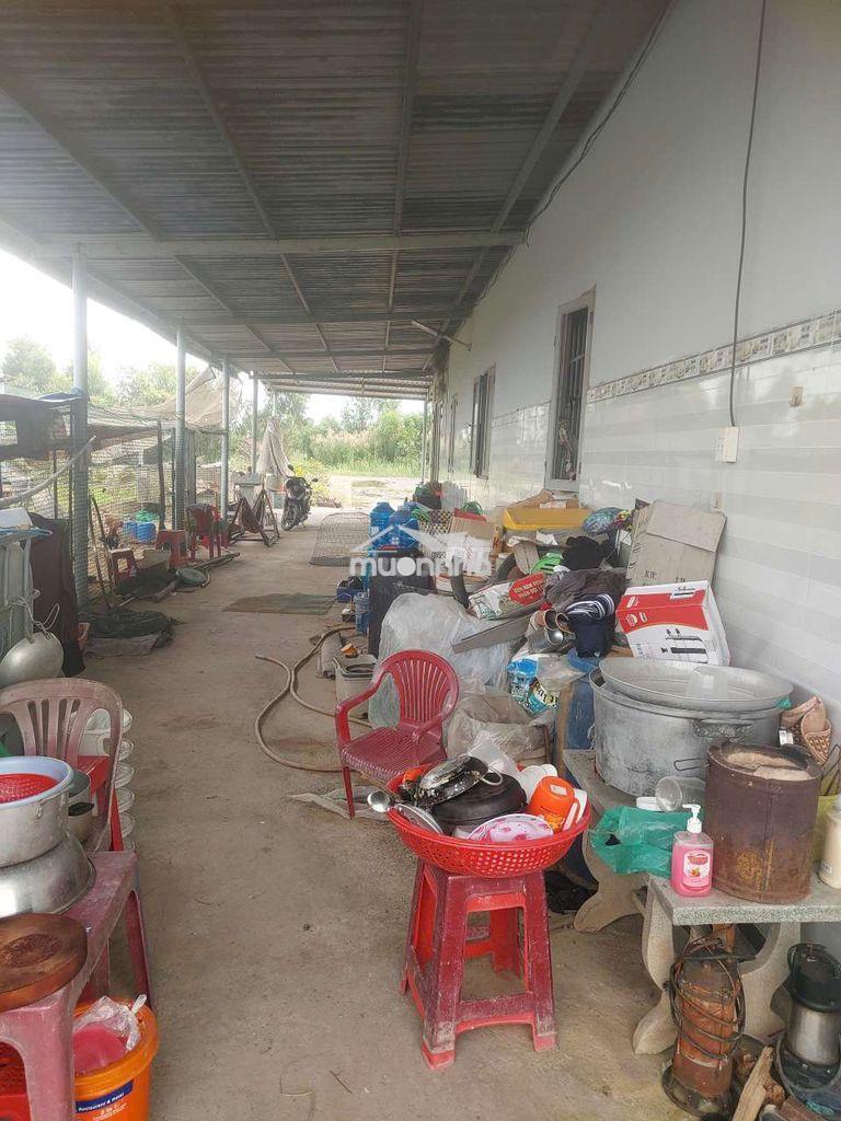 Gấp bán đất tặng nhà ngay bình chánh long an chỉ 1.6toi - 4