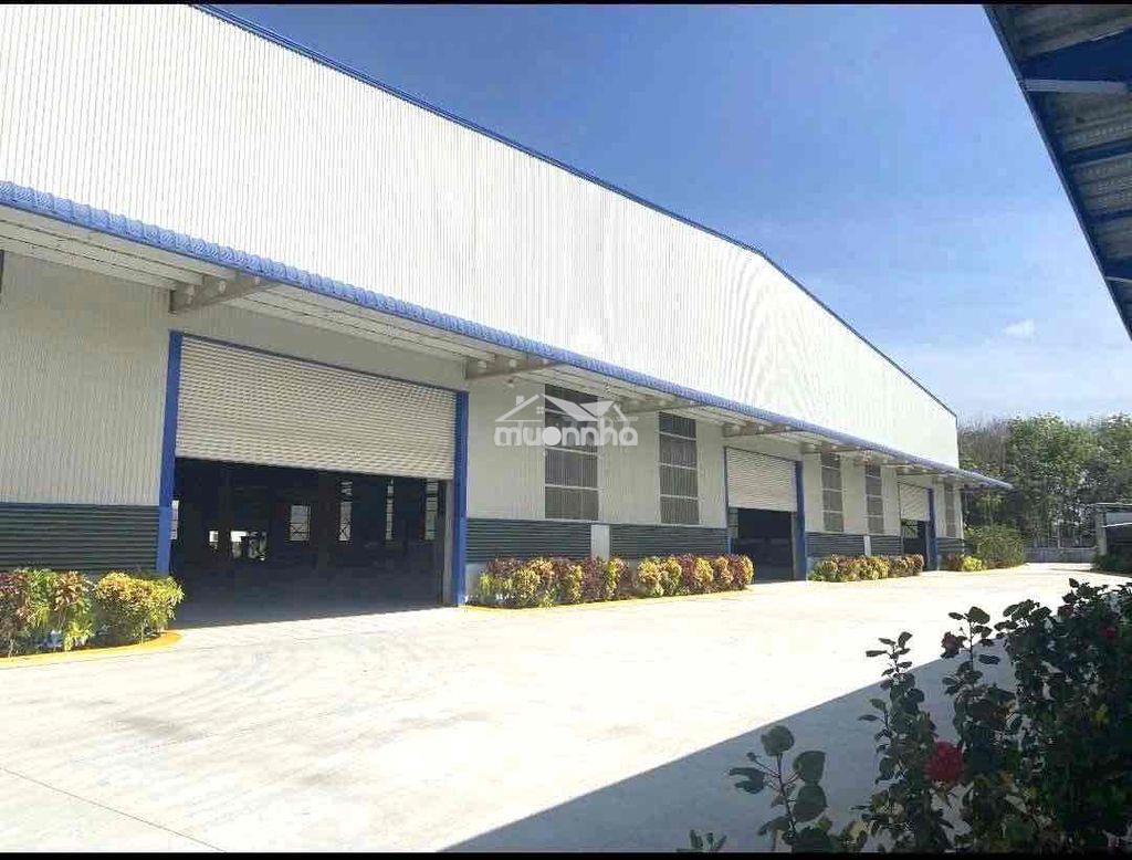Kho xưởng mới tinh(5000m2)có cắt lẻ,pccc,cont40fix - 3
