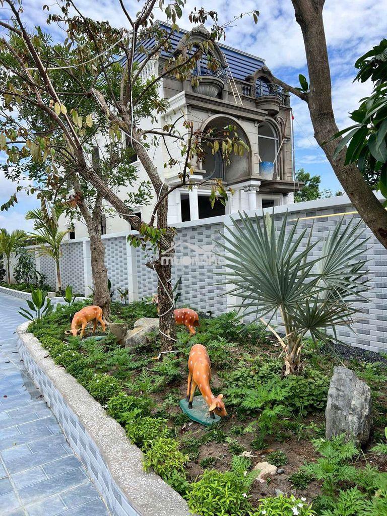 Biệt thự sân vườn 528m2 giáp ranh bình chánh full nội thất - 2