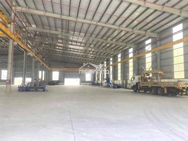 Kho xưởng mới tinh(5000m2)có cắt lẻ,pccc,cont40fix