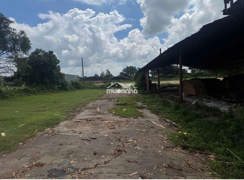 Cho thuê dài hạn 16.000m2 đất skc,khánh bình,tân hiệp,tân uyên,bd - 2