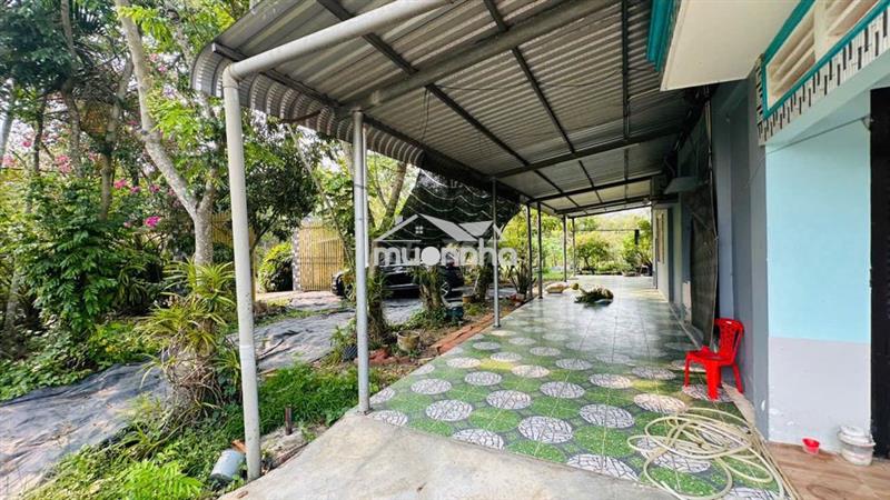 Cho thuê nhà vườn nghỉ dưỡng củ chi – 4 phòng ngủ