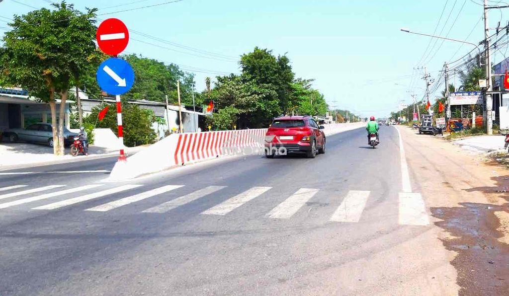 Bán đất đường dt 744 xã thanh tuyền, huyện dầu tiếng, bình dương - 4