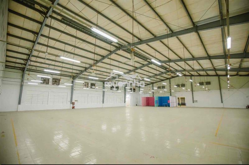 Cho thuê kho xưởng tổng dt 5000m2. phù hợp mọi ngành nghề, đẹp, hiếm