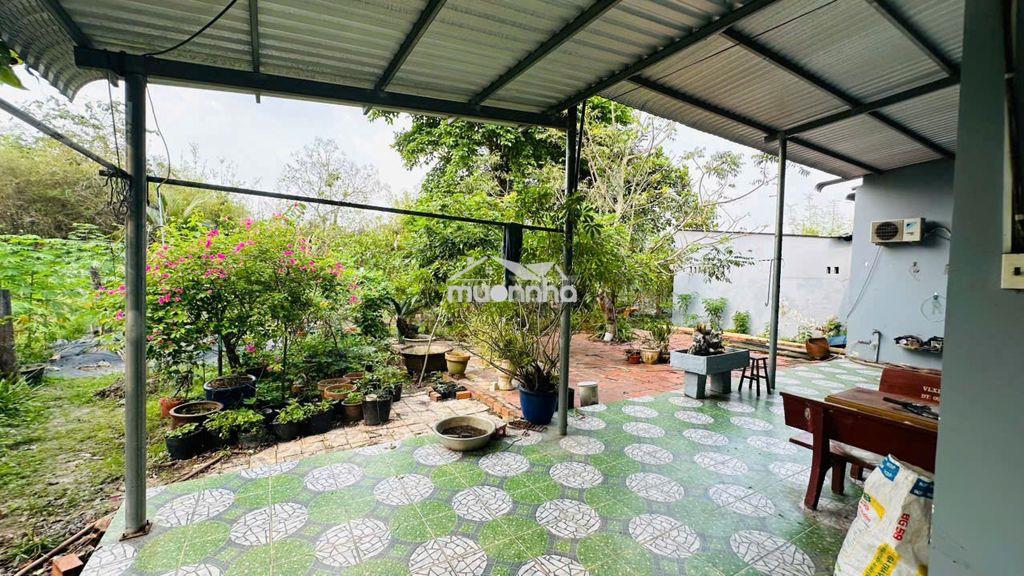 Cho thuê nhà vườn nghỉ dưỡng củ chi – 4 phòng ngủ - 3