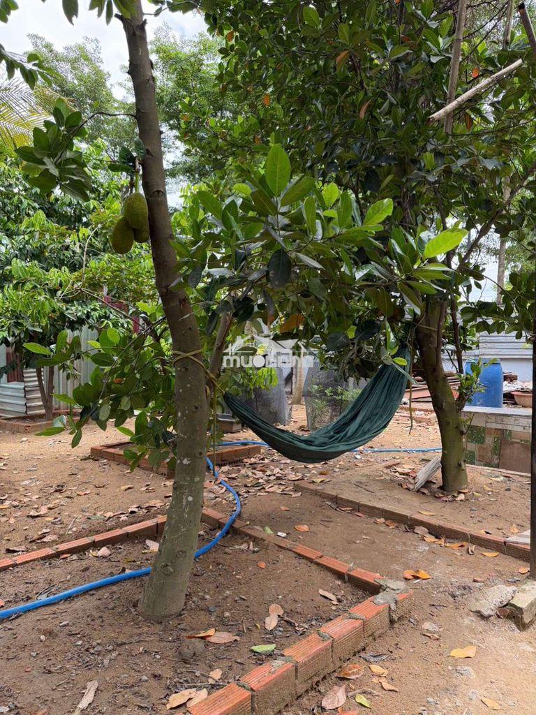 Cho thuê nhà nguyên căn mới như hình – hiệp thành, q12 - 2