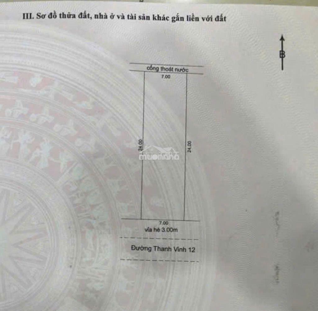 💥Đất diện tích khủng 168m2 (7x24m) mặt tiền thanh vinh 12 | bán gấp - 2