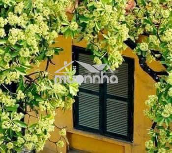 Cho thuê nhà đường gò dầu - p tân quý đúc 1 trệt , 1 lầu : 5 x 18 m - 2