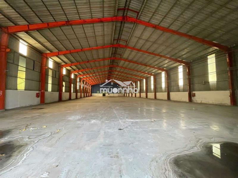 Cho thuê xưởng tại chánh phú hòa bến cát