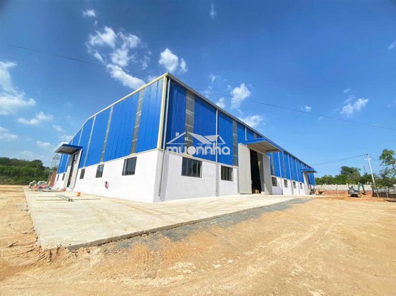 Cho thuê 2500m2 xưởng tân uyên ,pccc tự động ,giấy tờ đầy đủ ,cont 40f