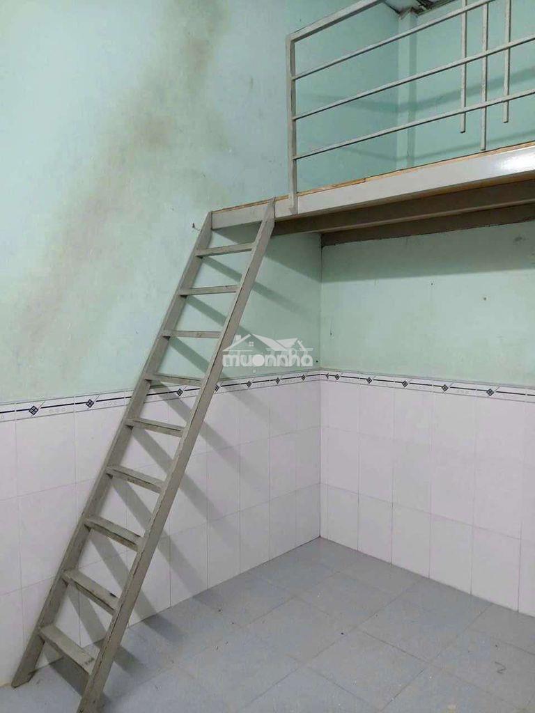 Phòng mới giờ gấc tự do, yên tĩnh thoáng mát
