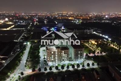 Cho thuê căn 66m2 chung cư thanh bình - 2