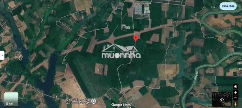 Bán 3 hecta cao su, mặt tiền đường nhựa 9m, minh lập - chơn thành - bp