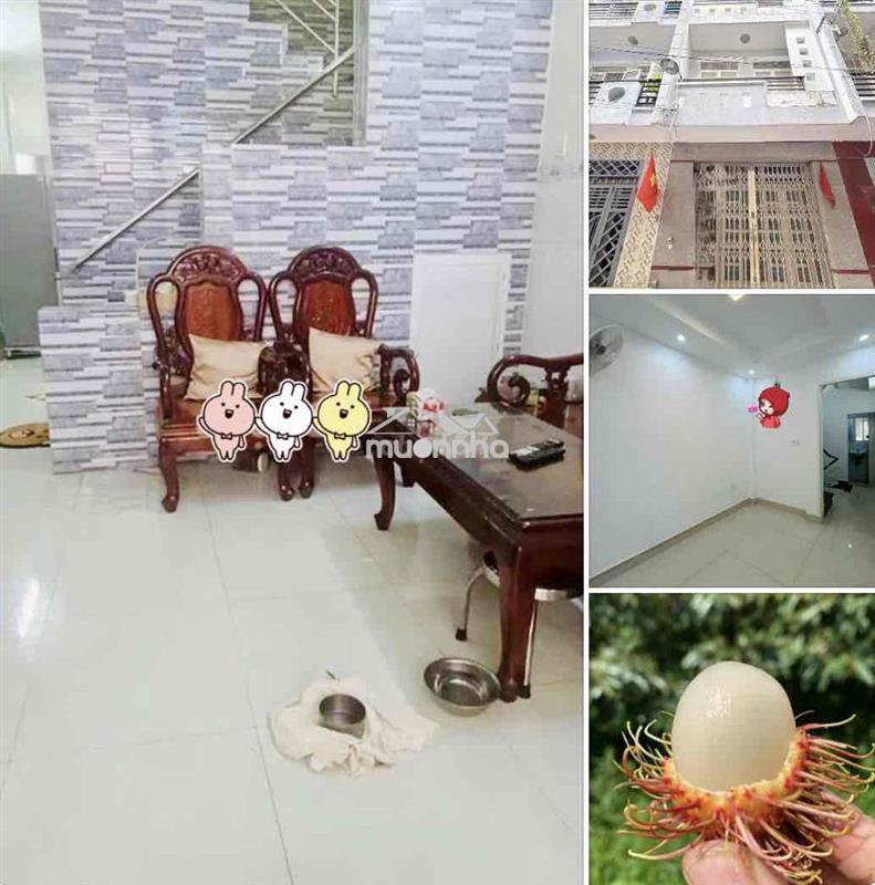 Nhàđẹp q3, 1trệt 2tầng sân thượng, 4p. ngủ ở và đi làm ok 🫰🫰