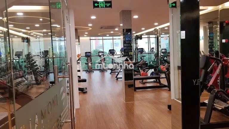 ​🔥 Mặt tiền 10m khu vực giáp quận 1 – giá cực tốt 110tr/tháng 🔥 - 4