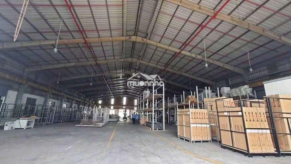 Chính chủ cho thuê nhà xưởng 2000. thuận an, 3.5usd/m. giấy tờ đầy đủ - 2