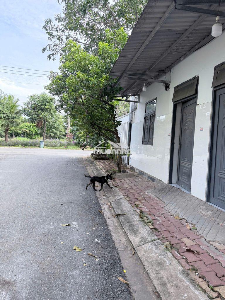 Cho thuê phòng trọ có gác, khu dân cư vĩnh phú 1, phòng mới - 4