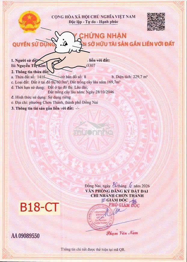 🔥 6xx 7xx triệu – đất odt sát kcn becamex, trung tâm chơn thành - Ảnh 4