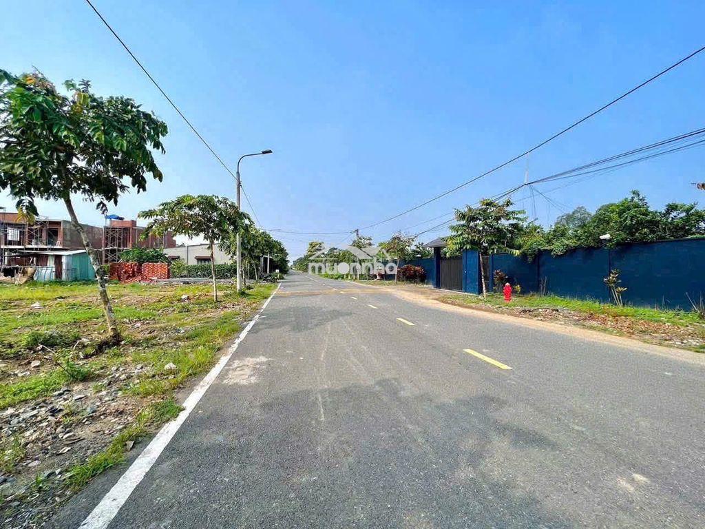 2 lô đất mặt tiền – view sông tại tân triều - Ảnh 3