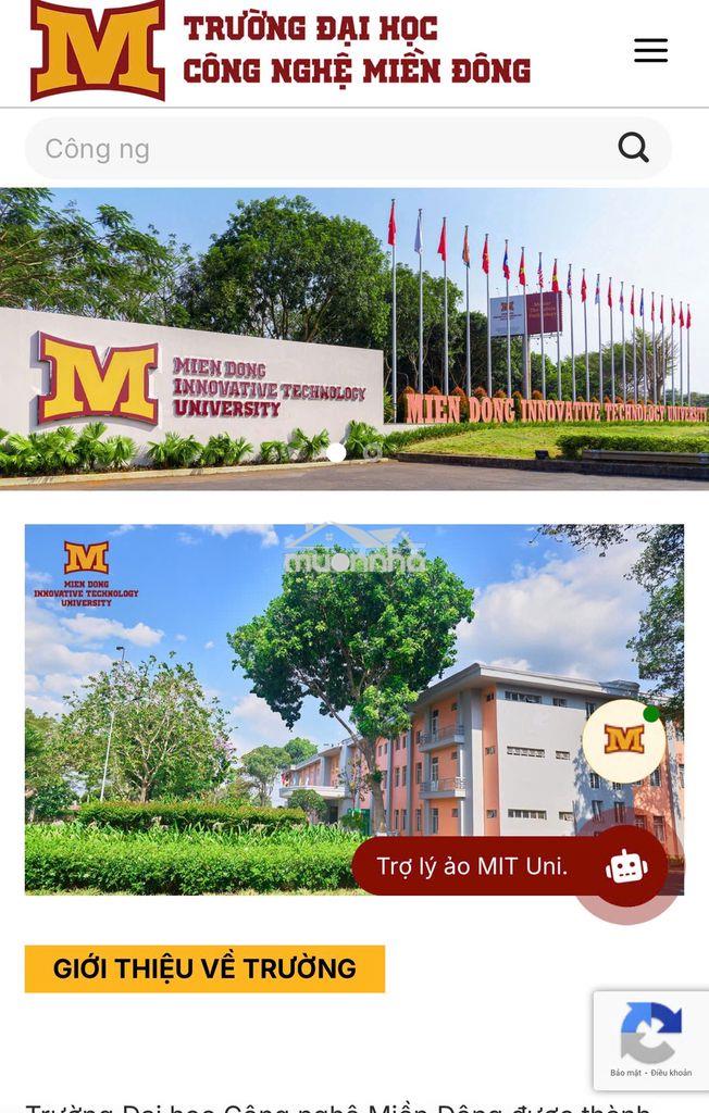 Thanh lý gấp giá rẻ lô đất góc 2 mặt tiền, gần trường học, siêu thị,.. - Ảnh 2