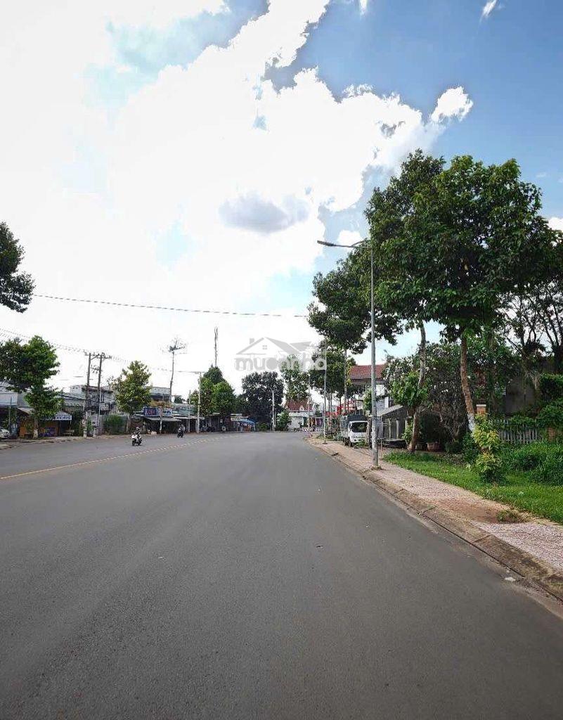 Đất nền 170m2 thổ cư sổ riêng tại bình lộc - Ảnh 3