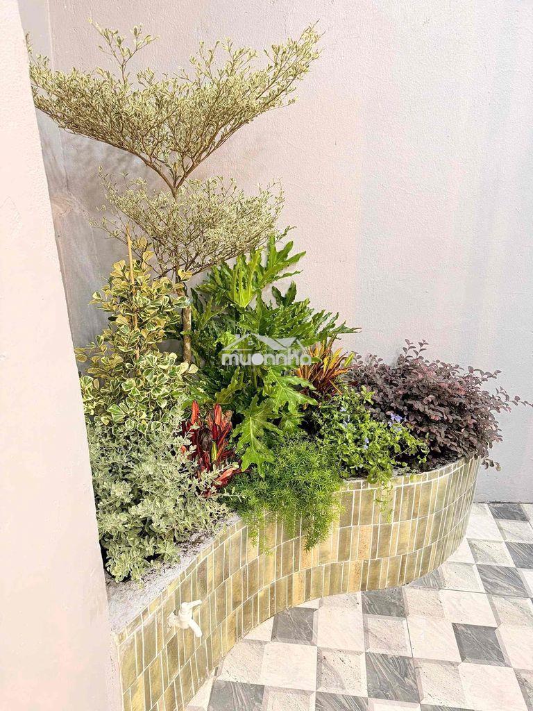 🔥 Kèo thơm quận 4 – nhà 2 tấm mới đẹp – dt rộng 53m² – hẻm 1/ tôn đản - Ảnh 2