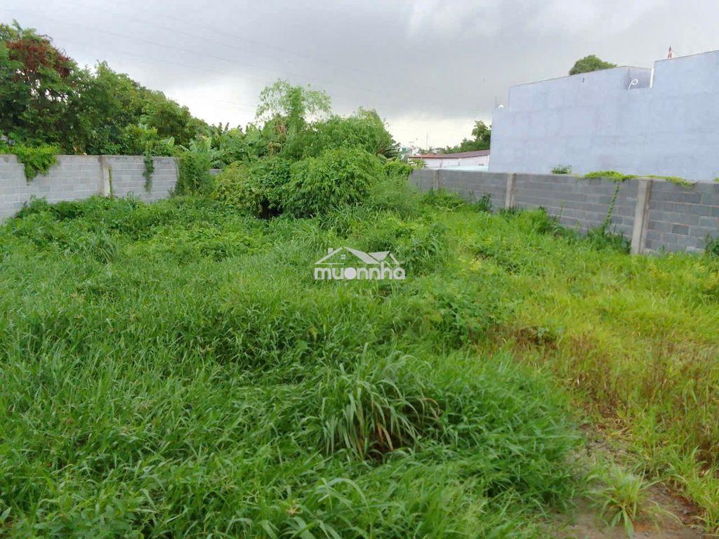 Bán đất 529m2 ở biên hòa, giá 3.3 tỷ, sổ hồng riêng - Ảnh 4