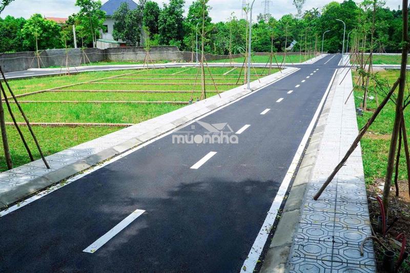 Cắt lỗ, bán gấp lô đất nền lạc thuỷ đường phân lô, gần khu vđai5 100m2