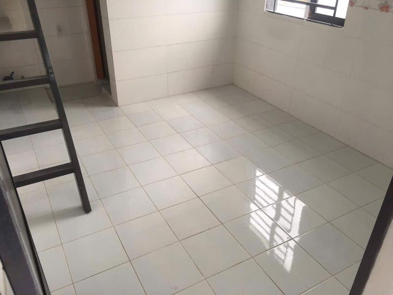 Phòng trọ có gác giá rẻ gần đại học công thương-aeon mall-khu celadon city quận tân phú-cho nuôi pet - Ảnh 2