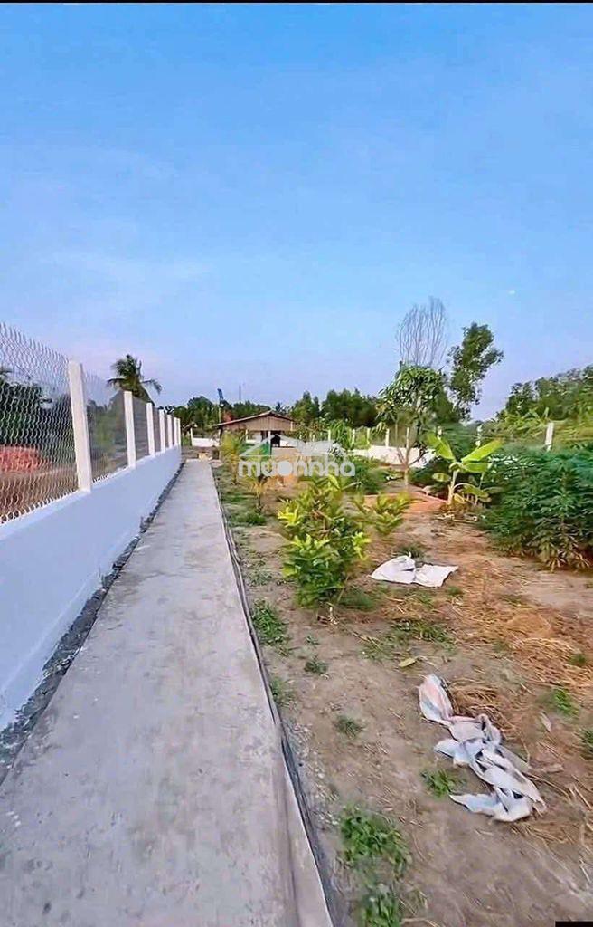 Bán gấp tặng nhà vườn 390đ - Ảnh 3