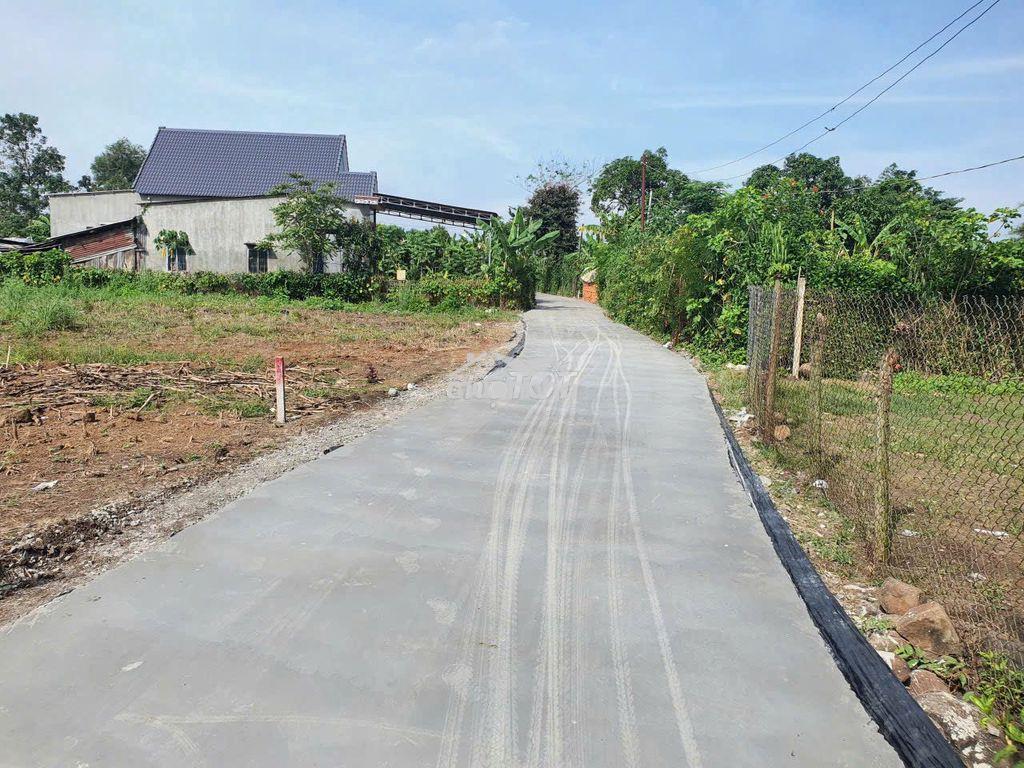 Chính chủ bán đất thổ cư tại xã sông rây cẩm mỹ. 118m2 - Ảnh 2