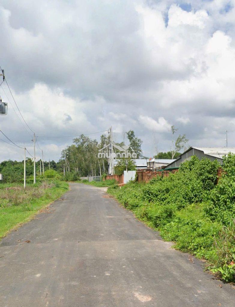 Bán đất nhà vườn hòa hội – 1085m² – giá mềm chỉ 460tr - Ảnh 2