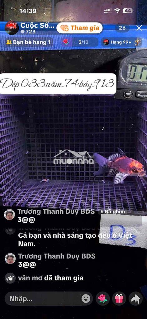 Kdc an hưng phát long bình tân sổ riêng đất đẹp giá tốt thương lượng - Ảnh 3