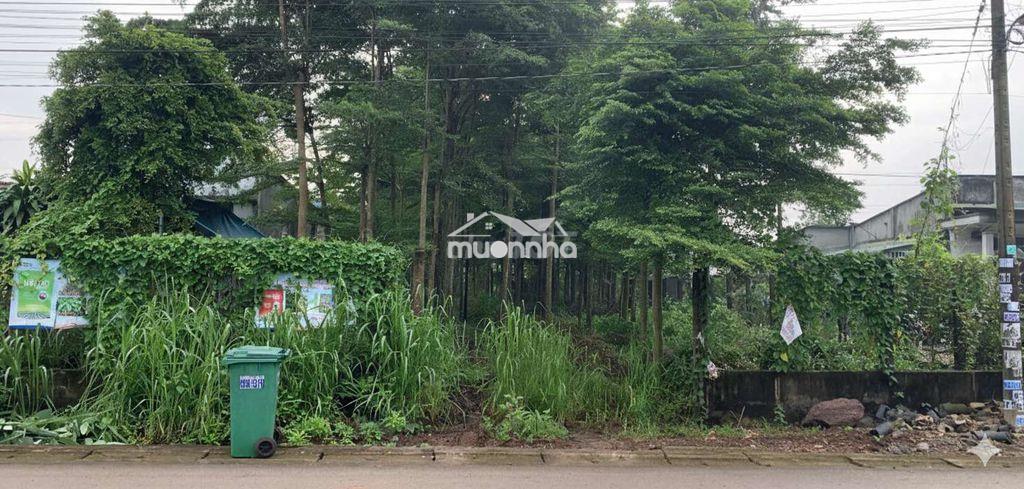 🏡 Bán đất thổ cư kèm vườn - hưng thịnh, trảng bom - Ảnh 3