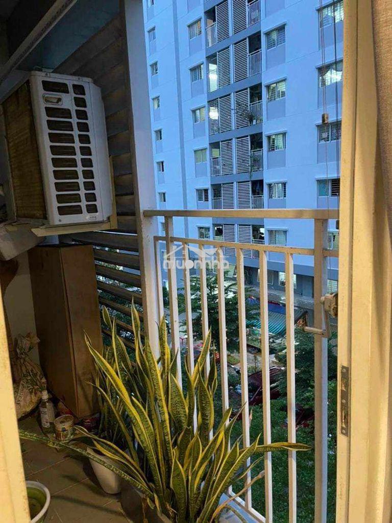 Căn hộ ehomes phú hữu mt đỗ xuân hợp, đối diện global city q2 - Ảnh 3