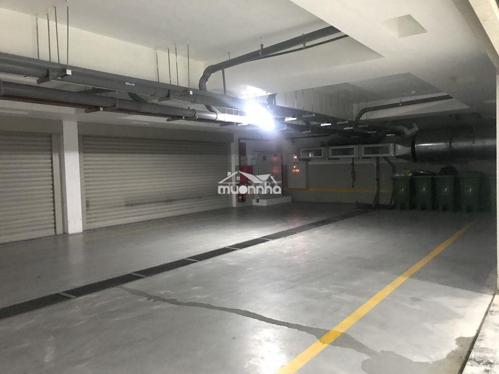 🔥 Cho thuê cặp căn góc làm văn phòng khu sala - hoàn thiện đep - Ảnh 3