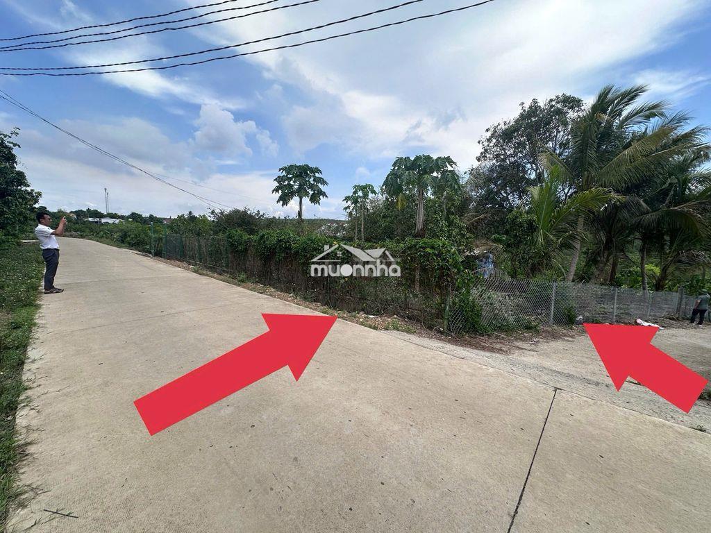 Bán đất vườn 1150m2, lô góc 2 mặt tiền đường bê tông ôtô vivu sát ql20 - Ảnh 2