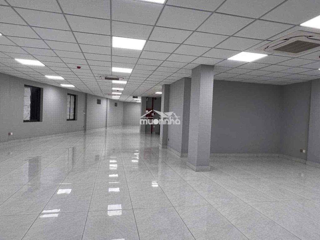 Cho thuê nguyên toà nhà 6 tầng bờ bao tân thắng tân phú - Ảnh 3