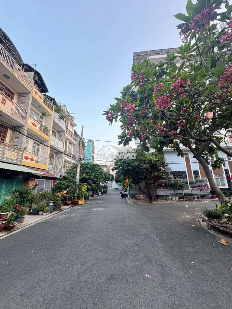 Hẻm xe tải tân hoà đông view công viên 4x20 vuông vức chỉ 6,6 tỷ - 2