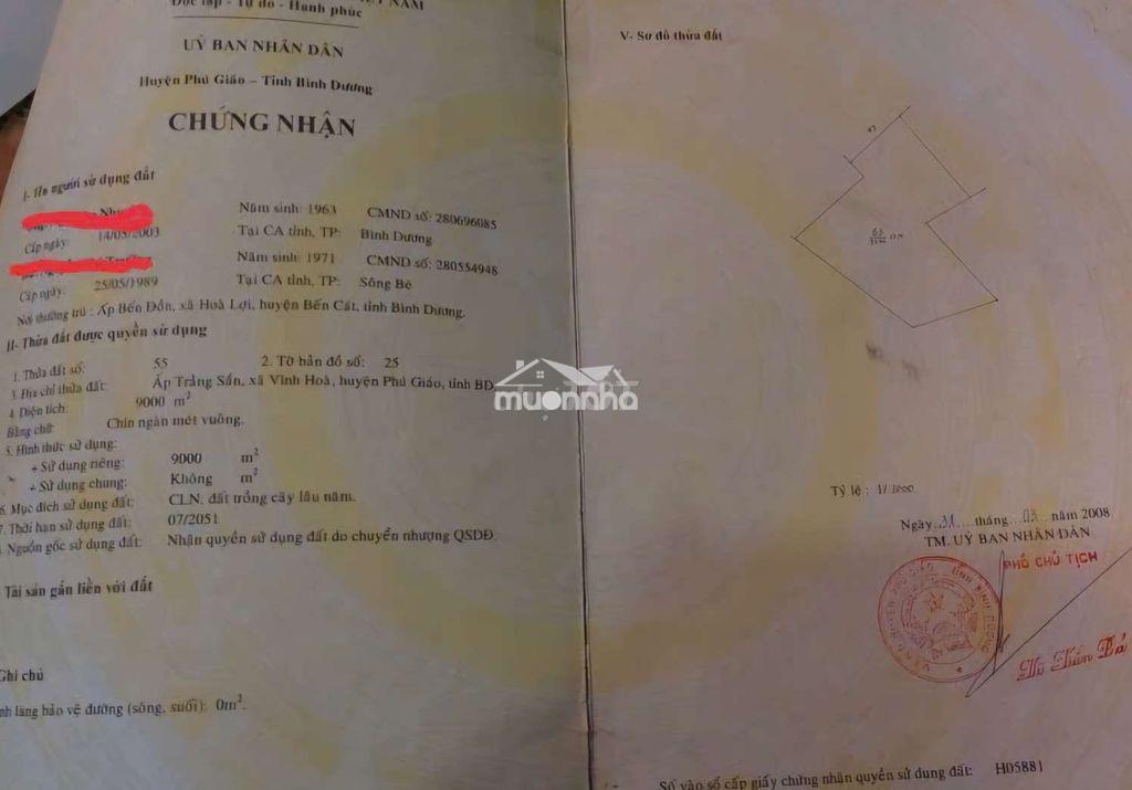 Bán vườn cao su 9000m2 đang cạo tại vĩnh hòa, phú giáo, bình dương - Ảnh 3