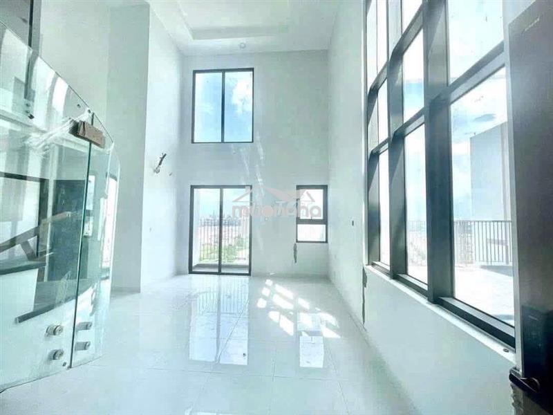 Cho thuê căn duplex sân vườn the pegasuite 2 3pn 2wc giá 14tr/tháng