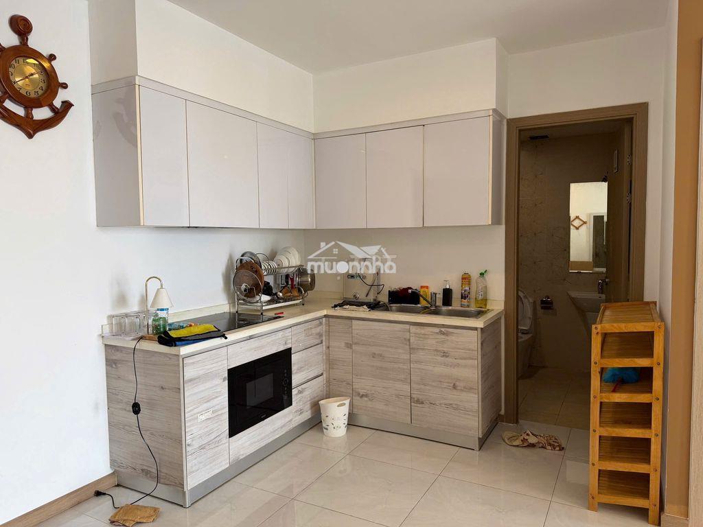 View xem pháo hoa, dt 60m2 - 1pn, riva park - Ảnh 4